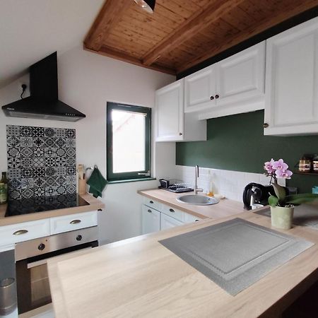 Le Nid - Appartement Avec Exterieur Epfig Εξωτερικό φωτογραφία
